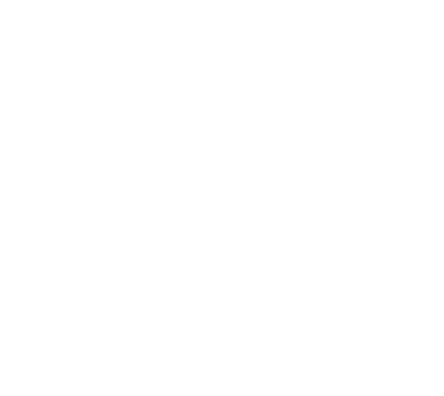 discord white logo